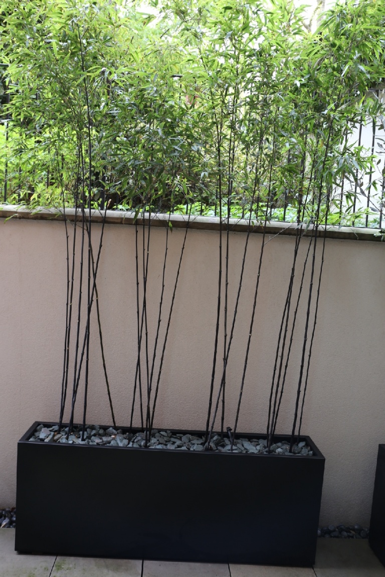 Bespoke Metal Planters Bamboo London Planters