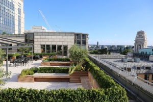 Roof Terrace City